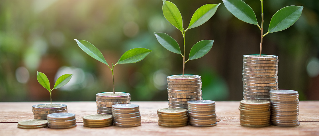 Sustainability-1 (1120x480)