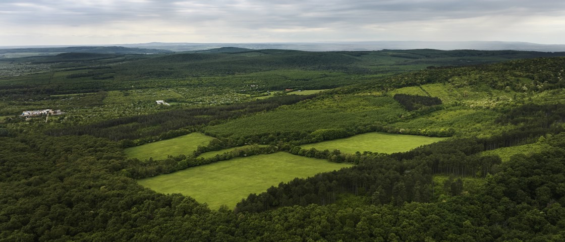 Sustainability-10 (1120x480)